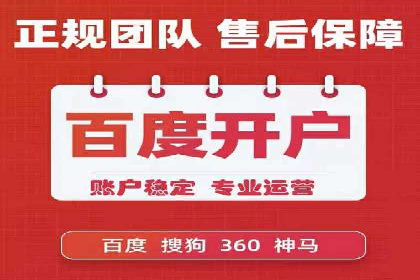 成功SEM代理案例：精准投放的策略